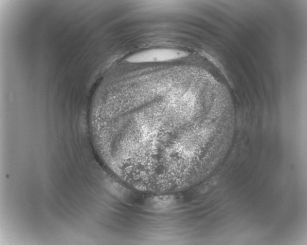 X0000065250353200603172210