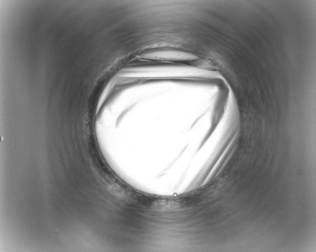 X0000065250354200603172210