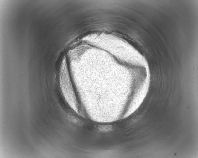 X0000065250355200603172210