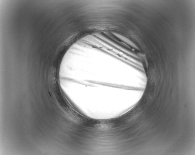 X0000065250356200603172210