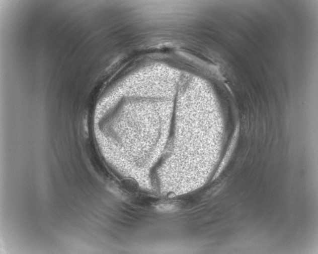 X0000065250358200603172210