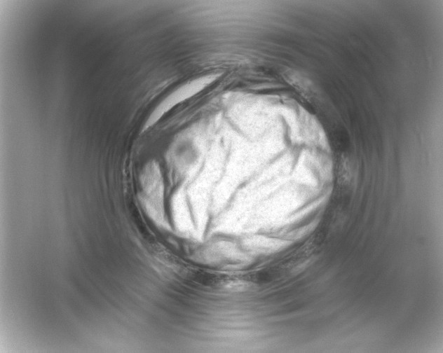 X0000065250360200603172210