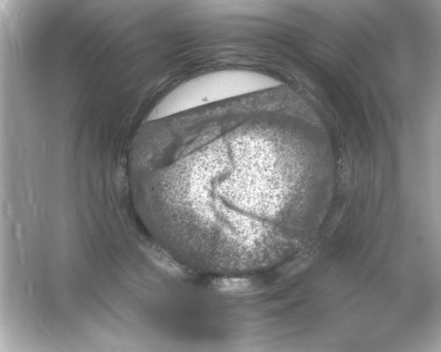 X0000065250361200603172210