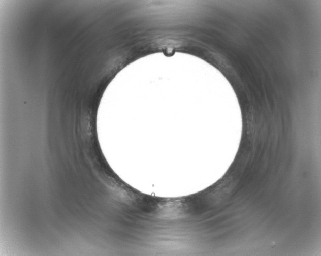 X0000065250362200603172210