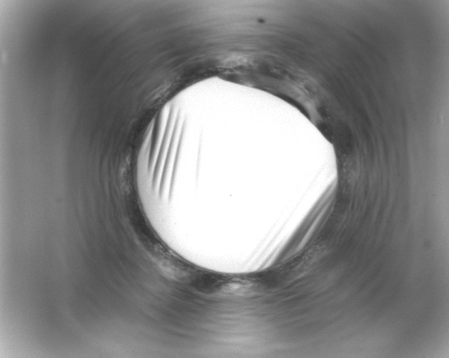 X0000065250364200603172210