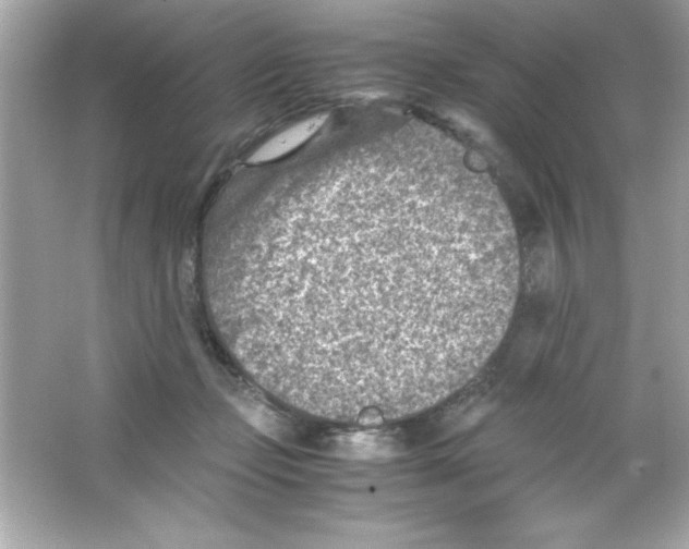 X0000065250365200603172210