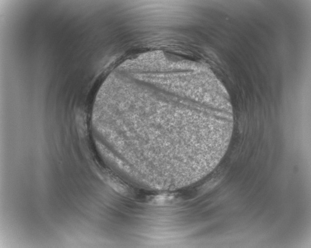 X0000065250366200603172210