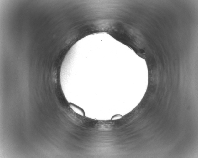 X0000065250368200603172210