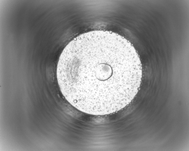 X0000065250370200603172210