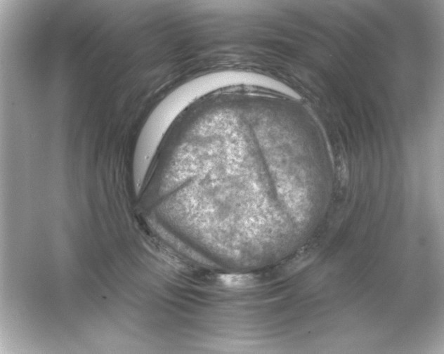 X0000065250371200603172210