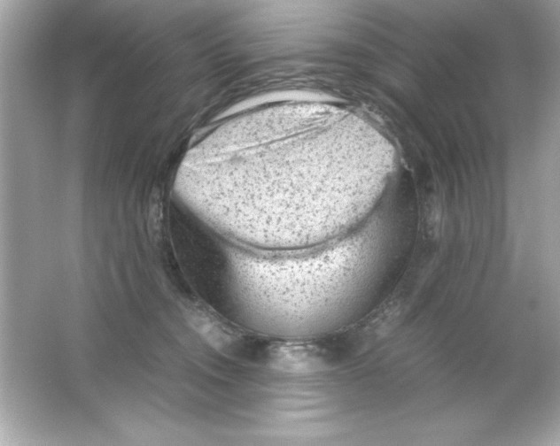 X0000065250372200603172210