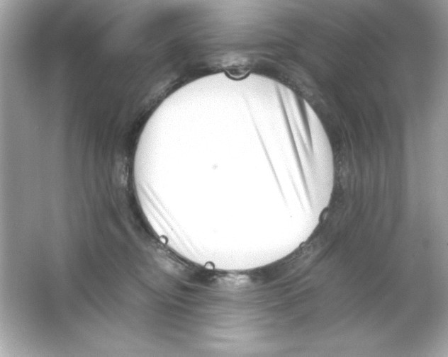 X0000065250374200603172210