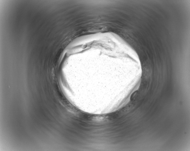 X0000065250375200603172210