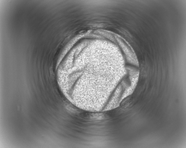 X0000065250377200603172210