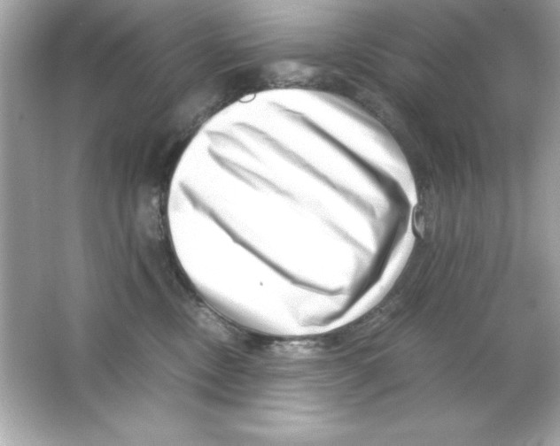 X0000065250378200603172210