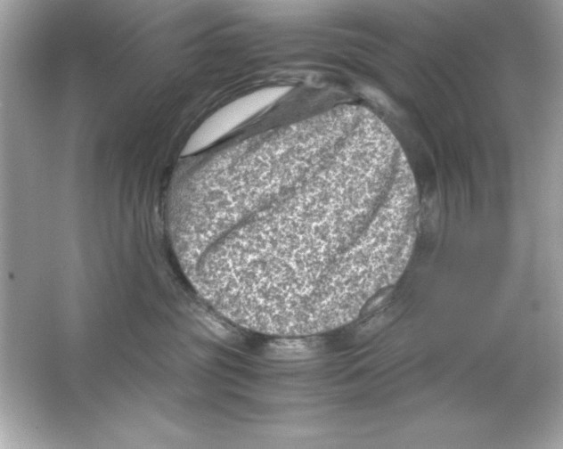 X0000065250381200603172210