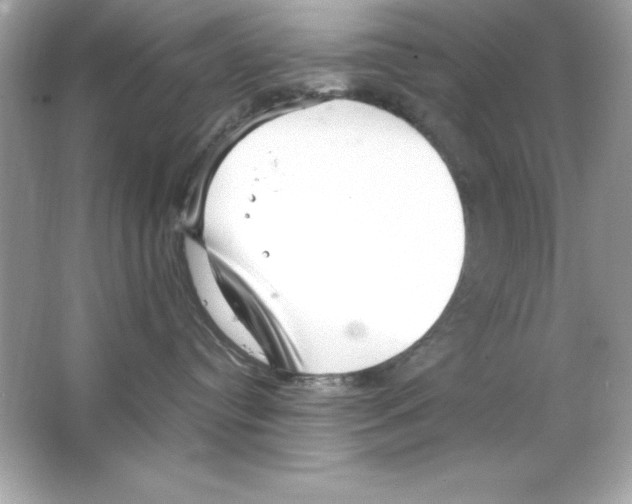 X0000065250384200603172211