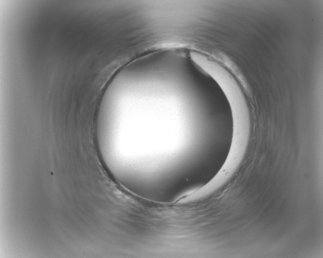 X0000065250385200603172210