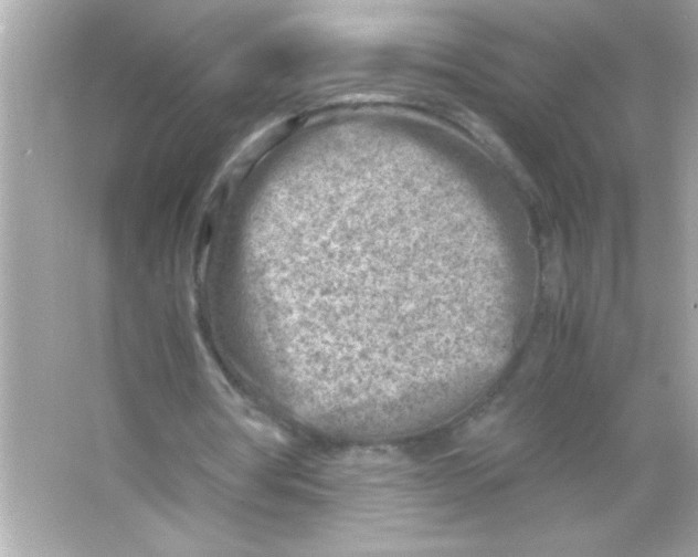 X0000065250386200603172210