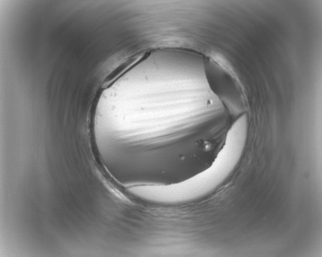 X0000065250389200603172210