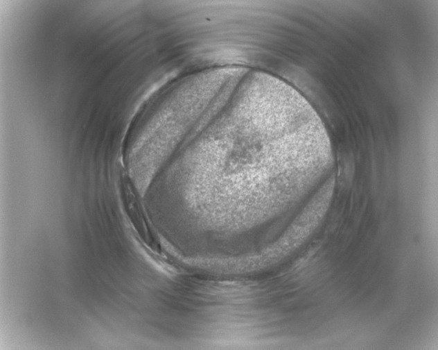 X0000065250390200603172210