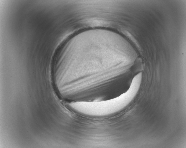 X0000065250391200603172210