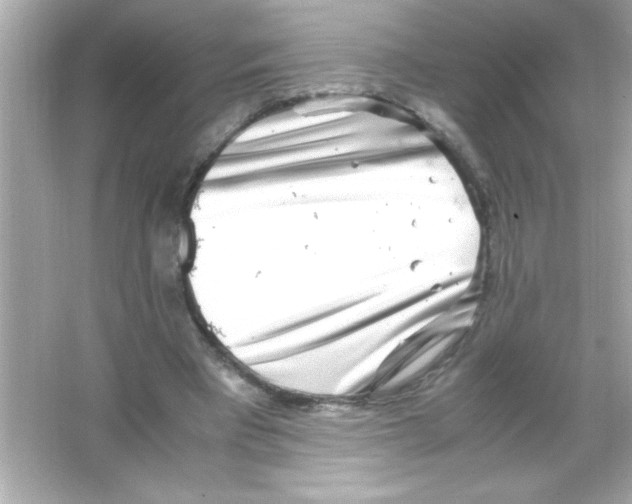 X0000065250393200603172210