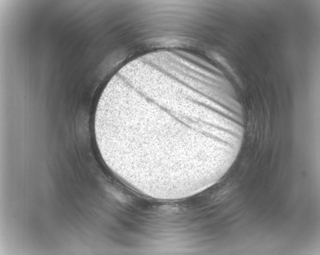 X0000065250394200603172210