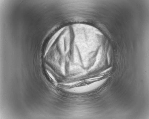 X0000065250395200603172210