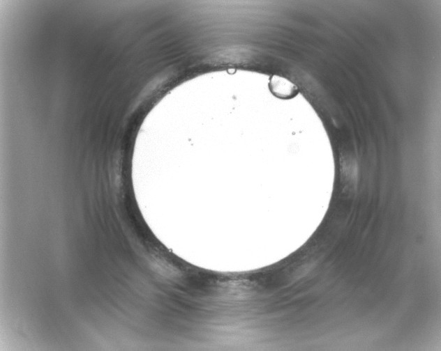 X0000065250396200603172210