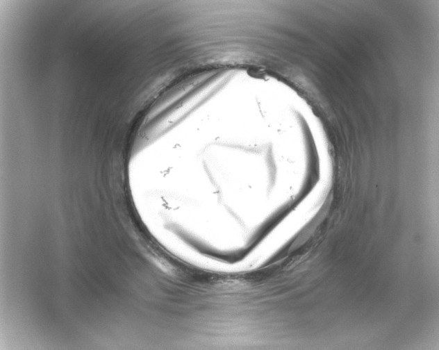 X0000065250397200603172210