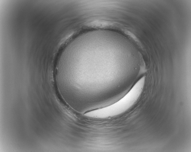 X0000065250399200603172209