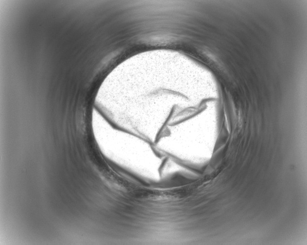 X0000065250400200603172209