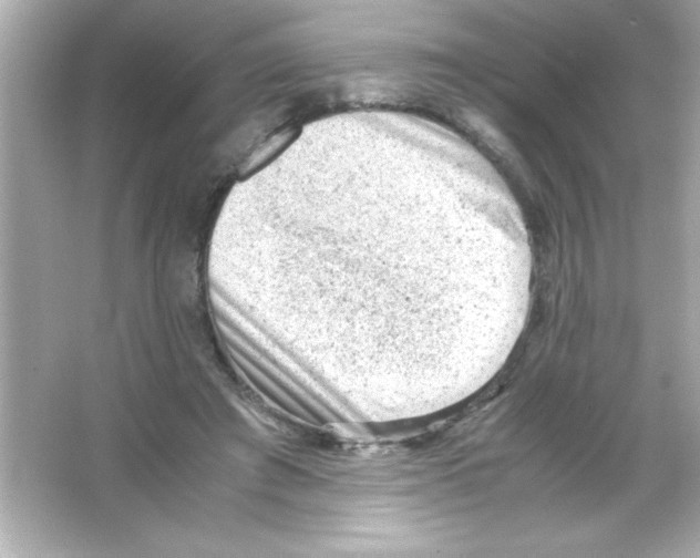 X0000065250401200603172209