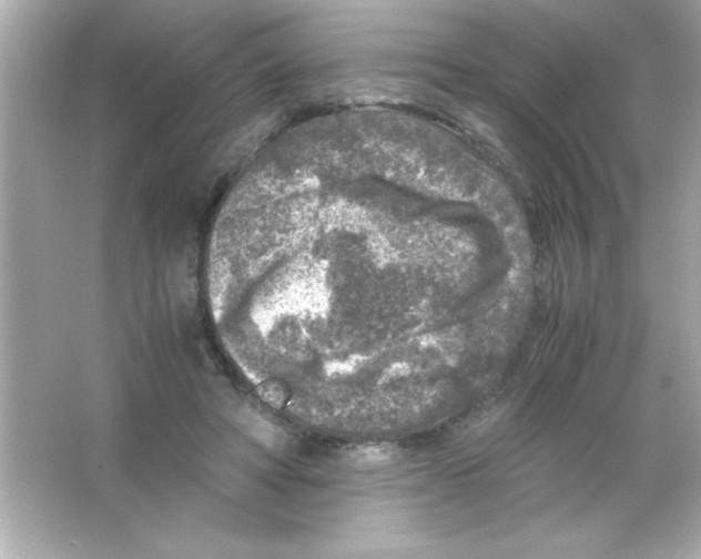 X0000065250402200603172209