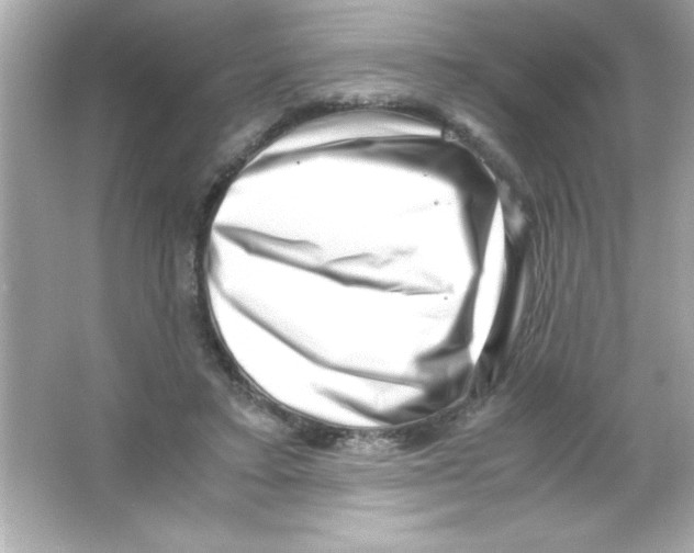 X0000065250403200603172209