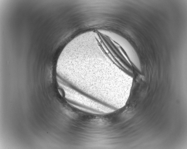 X0000065250404200603172209