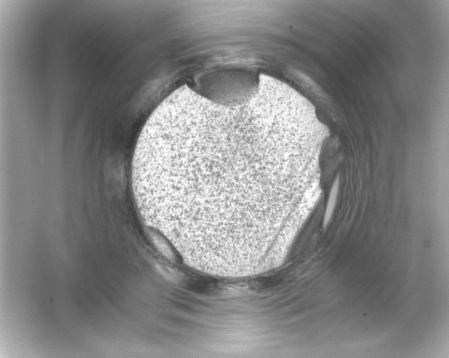 X0000065250405200603172209