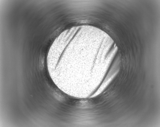 X0000065250406200603172209