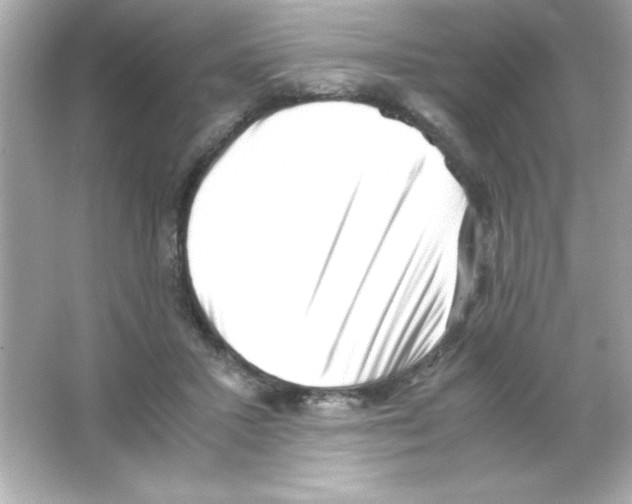 X0000065250407200603172209