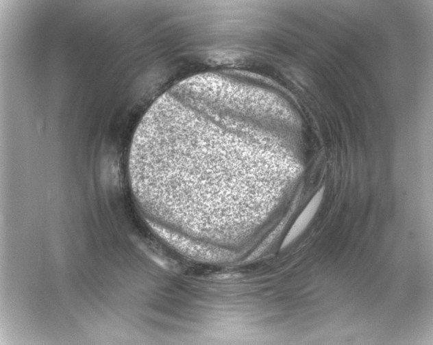 X0000065250408200603172209