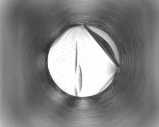 X0000065250412200603172209