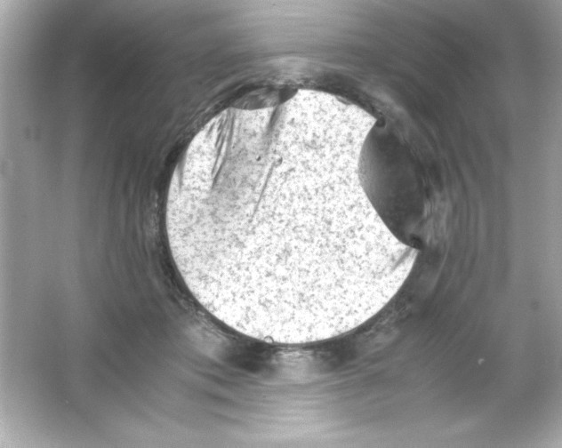 X0000065250413200603172209