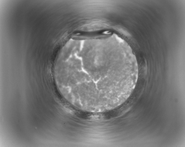 X0000065250415200603172209