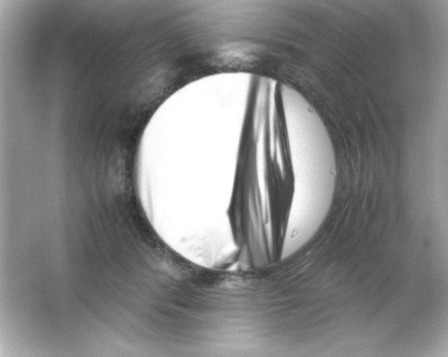 X0000065250416200603172209