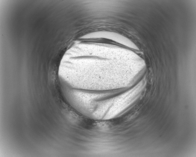 X0000065250417200603172209