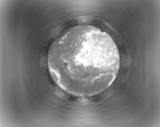 X0000065250419200603172209