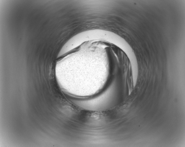 X0000065250420200603172209