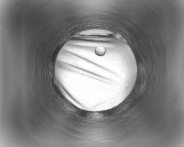 X0000065250421200603172209