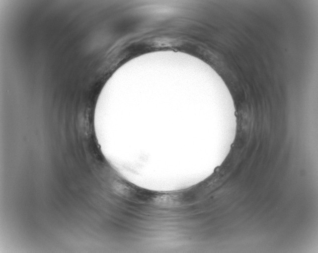 X0000065250422200603172209